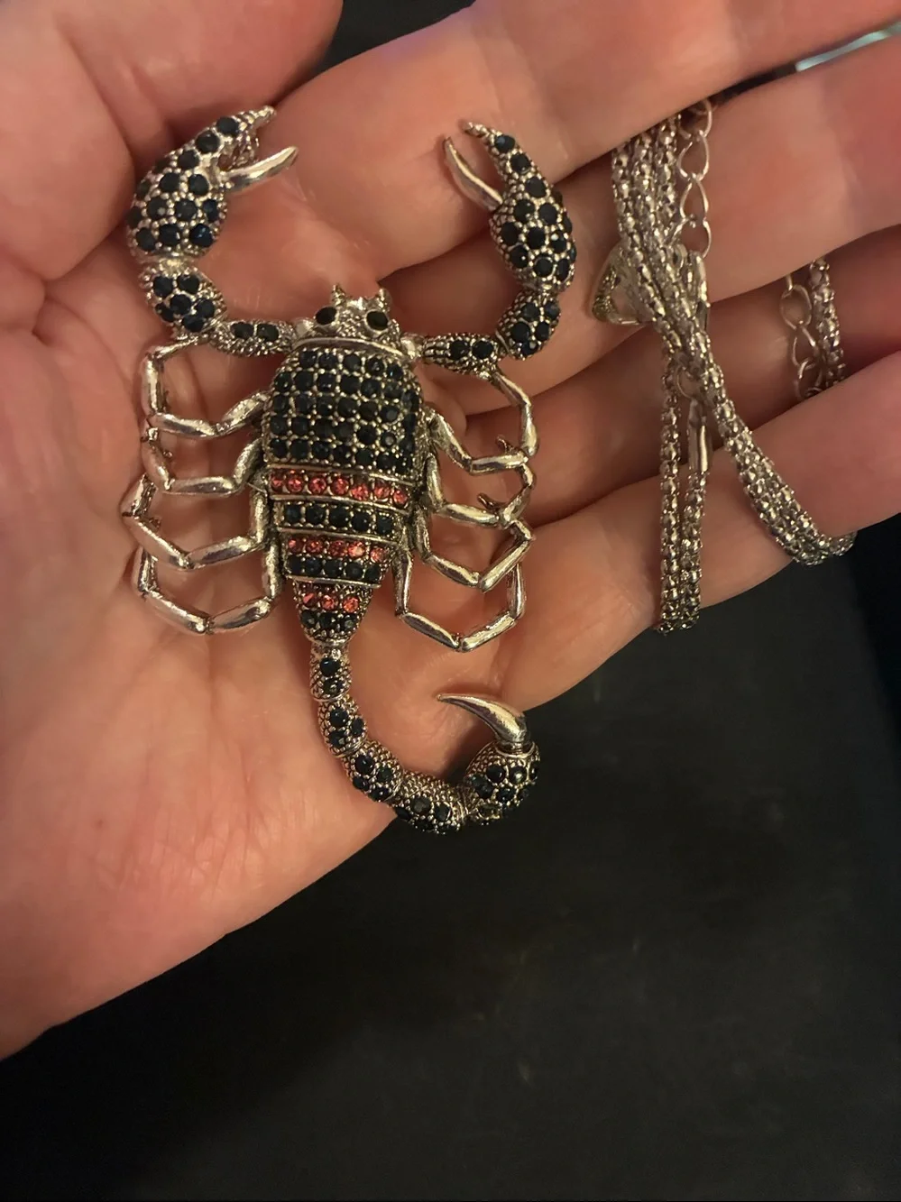 Scorpion Pendant Necklace - Black and Red Crystal Accent NWOT